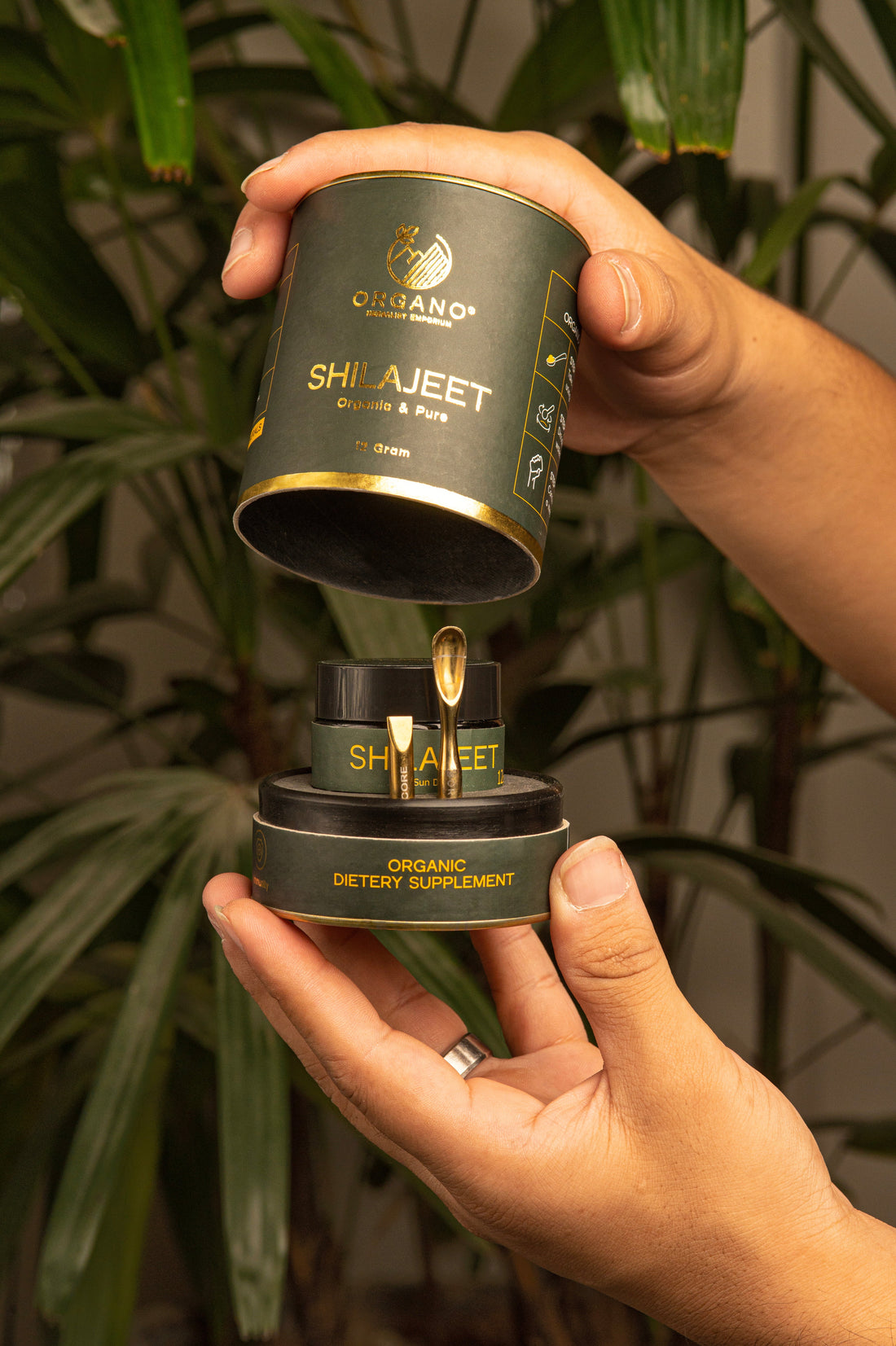 Buy the Best Kashmiri Shilajit in Pakistan - 100% Pure & Organic